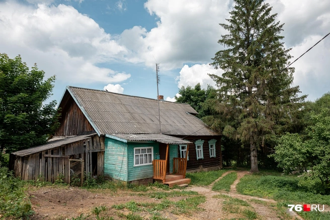 Дом утопает в зелени деревьев | Источник: Александр Куренной / 76.RU