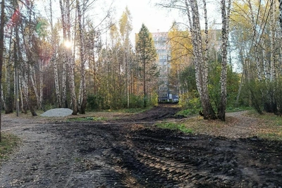 В лесу Челябинска незаконно снимают почву под дорогу