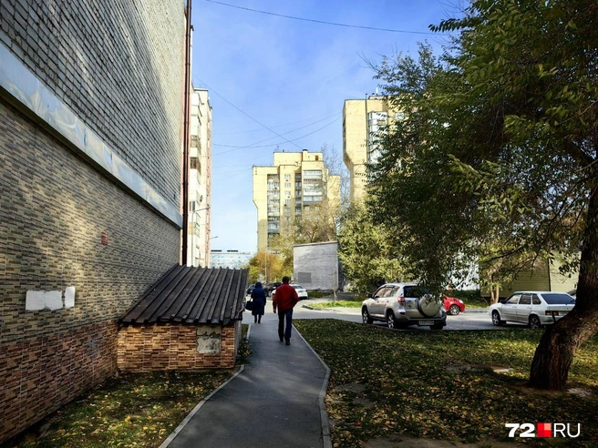 Справедливости ради: в Заречном и правда много зелени. Район буквально утопает в ней | Источник: Павел Красоткин / 72.RU 