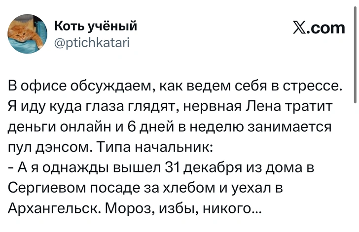 Источник: X (Twitter)