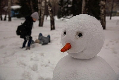 На 23 февраля в Рязани ожидается потепление