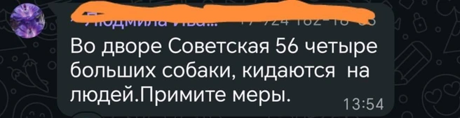 Жители обращаются в администрацию | Источник: Анастасия Ш.