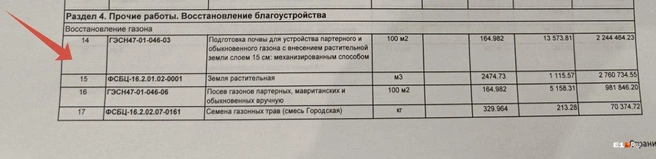 Только на посев газона уйдет почти миллион рублей | Источник: читательница E1.RU Ольга