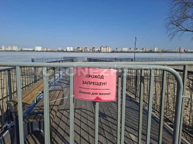 На мосты, которые стоили воронежцам миллионов рублей из бюджета, ходить опасно | Источник: Алёна Воропаева/ Voronezh1.ru