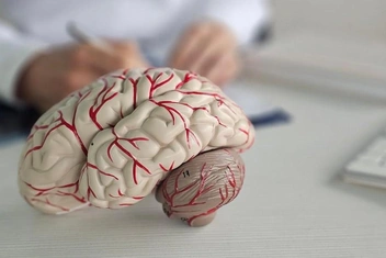 15 секунд, чтобы проверить здоровье мозга: опробуйте на себе результаты эксперимента ученых