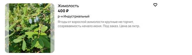 Источник: Авито