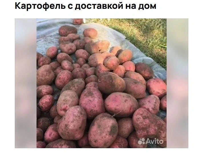 Источник: Avito.ru