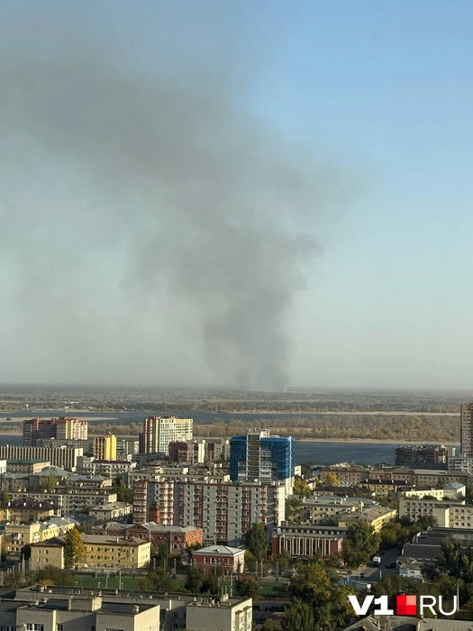 Источник: читатели V1.RU