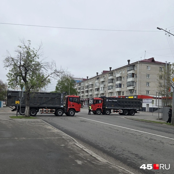 Источник: Алена Кисель