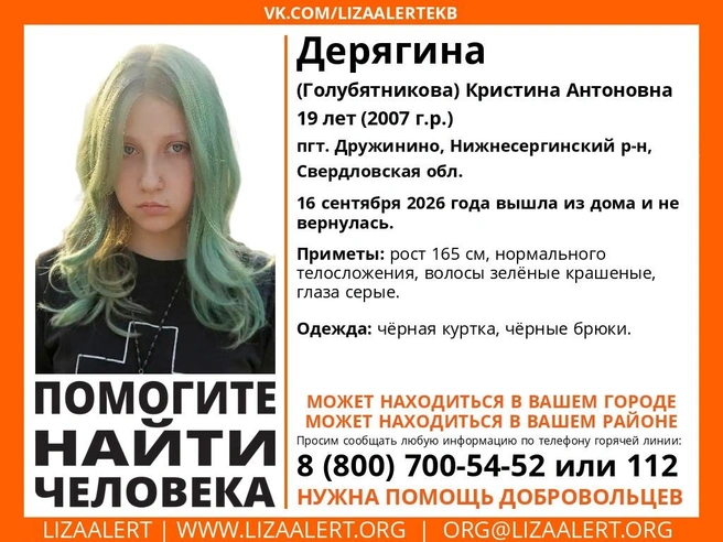 Источник: поисковой отряд «ЛизаАлерт»