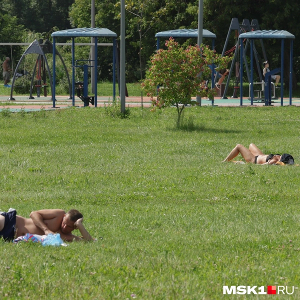 Источник: Дмитрий Толстошеева / MSK1.RU