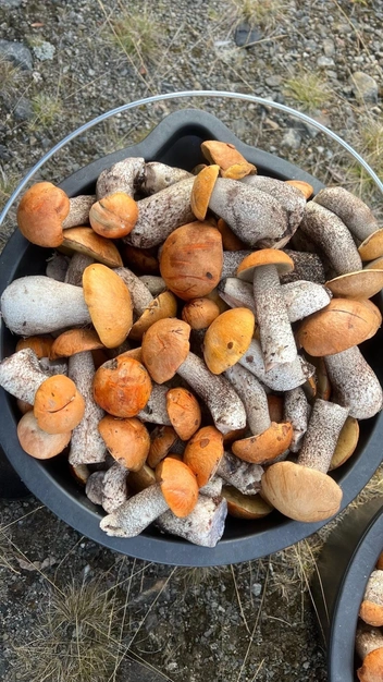 Источник: Анастасия Касьянова