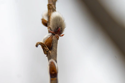 Прогноз погоды на 2 апреля в Приморье: ветрено и прохладно