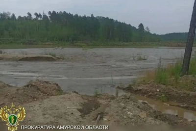 Компания в Приамурье выплатит 3,4 млн за загрязнение ручья