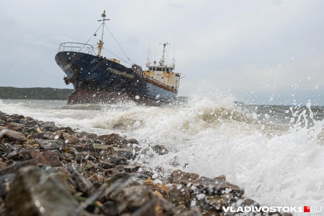 Источник: Елена Буйвол / VLADIVOSTOK1.RU