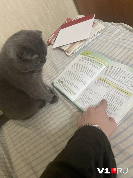 Когда еще и учиться заставляют… | Источник: читатели V1.RU