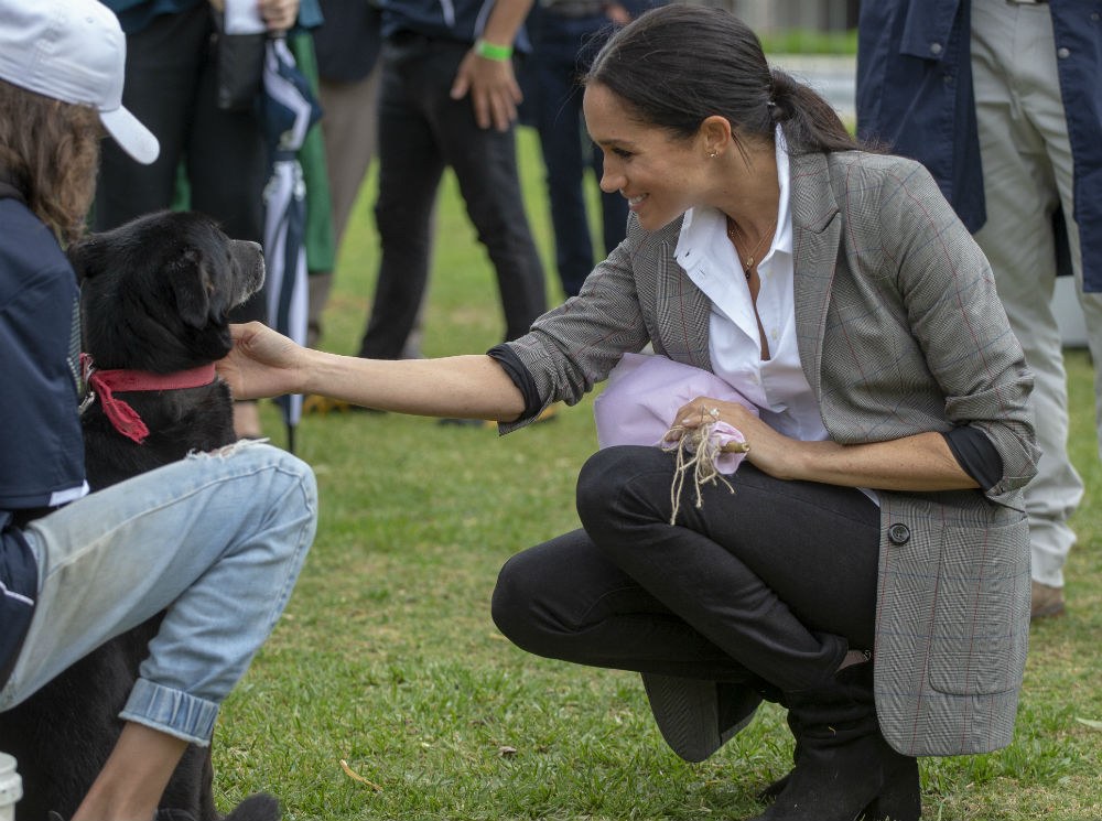 Бигль принес Меган Маркл удачу в любви | marieclaire.ru