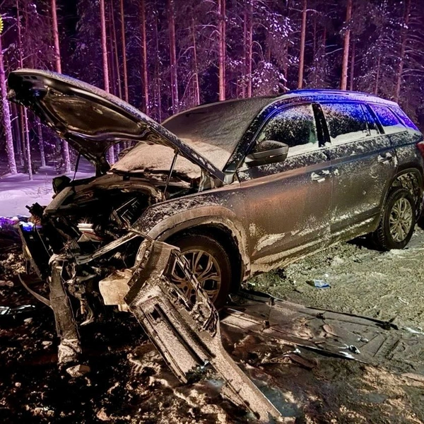 Источник: Прокуратура Карелии