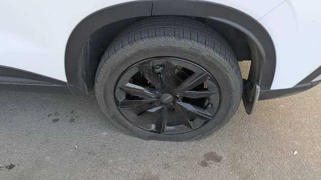 Мотив вандалов остается непонятен | Источник: GMRLIVE / T.me