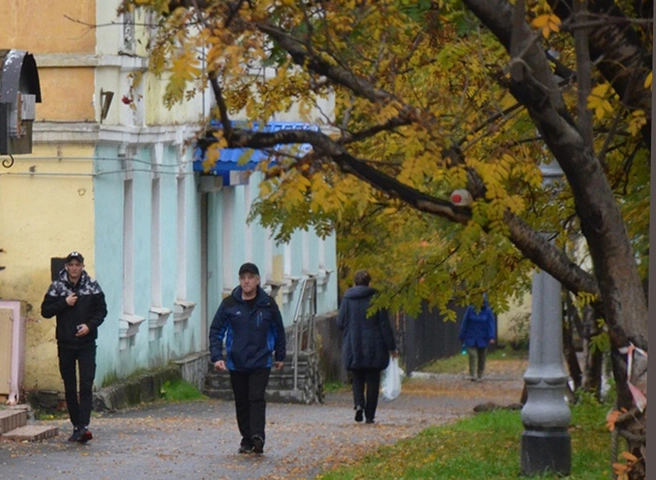 В ночь на среду в Рязанской области похолодает до -5 °С | ya62.ru
