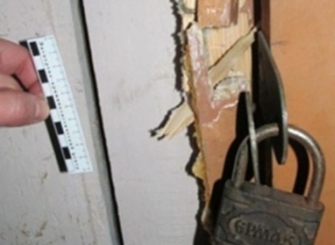 В Касимове двое подростков пойдут под суд за кражу | ya62.ru