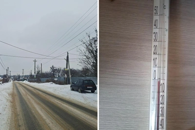 Voronezh Gardeners Endure -30°C Cold, May Fund Grid Repairs