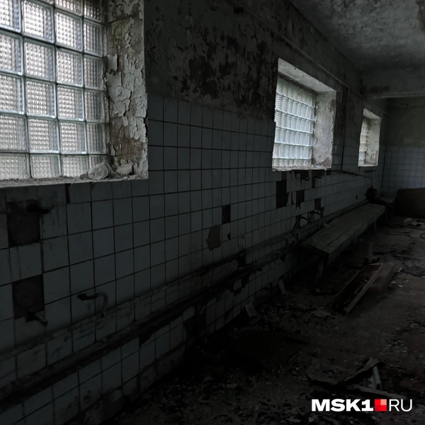 Источник: Алина Мельникова / MSK1.RU