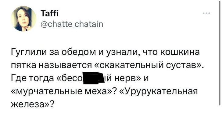 Шутки четверга и урурукательная железа