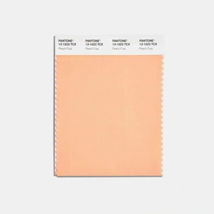 Институт цвета Pantone объявил главным цветом 2024 года «персиковый пушок»