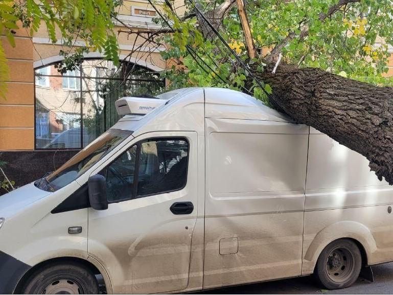 Роняет десятками деревья и рвет провода: показываем последствия штормового ветра в Ростове 