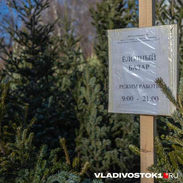 Источник: Елена Буйвол / VLADIVOSTOK1.RU