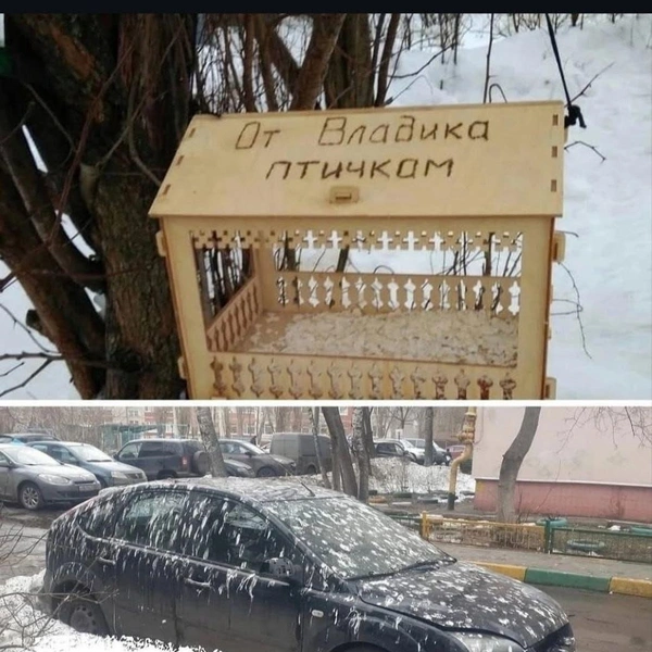 Источник: соцсети