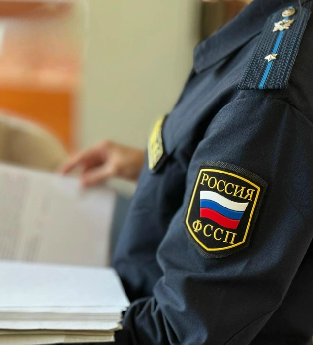 Долг по алиментам в 1,1 млн рублей погашен в Башкортостане | Источник: r02.fssp.gov.ru