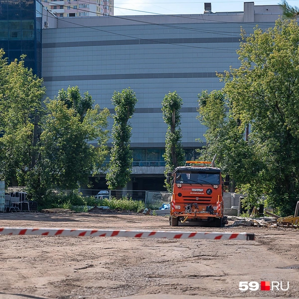 А пока деревья находятся лишь по периметру | Источник: Василина Любимова / 59.RU