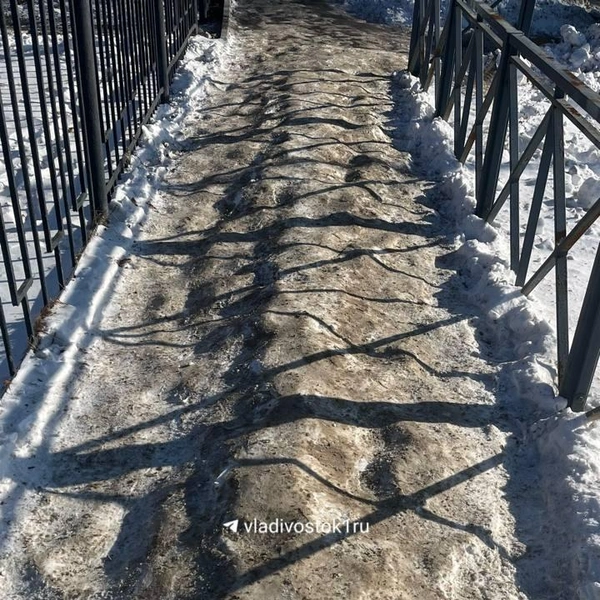 Источник: Елена Буйвол / VLADIVOSTOK1.RU