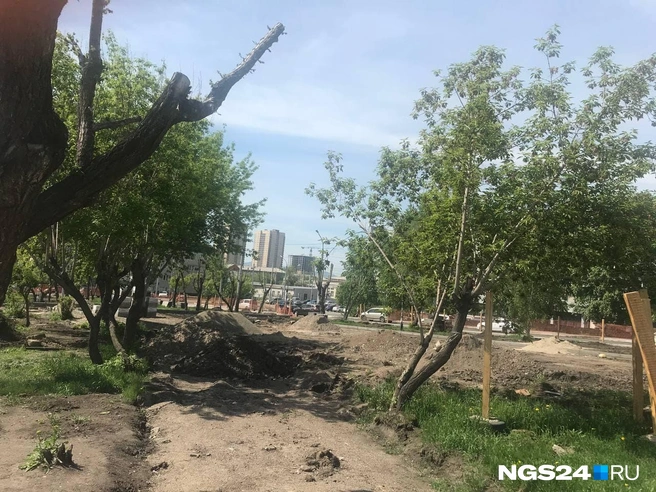 Так выглядит вторая часть сквера у гостиницы «Полет». Здесь между деревьями сделают паркинг | Источник: Татьяна Стриганова / NGS24.RU