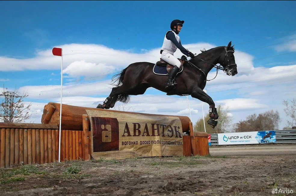 Источник: Avito