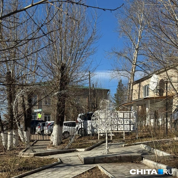 Источник: Анастасия Журавлева / CHITA.RU