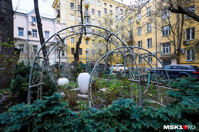 Вечером здесь светят гирлянды | Источник: Артем Устюжанин / MSK1.RU
