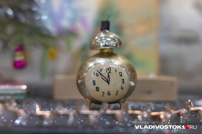 Источник: Елена Буйвол / VLADIVOSTOK1.RU