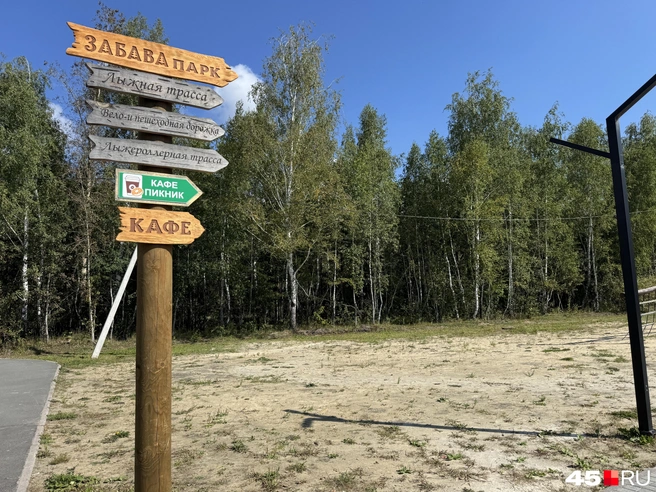 В парке много указателей&nbsp;— это очень удобно | Источник: Юлия Король / 45.RU