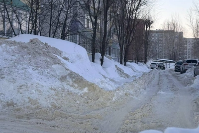 Казанские родители критикуют отмену дистанта при нечищеных дорогах