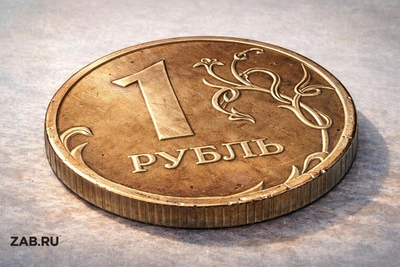 Забайкальские госзакупки вновь шокируют размахом