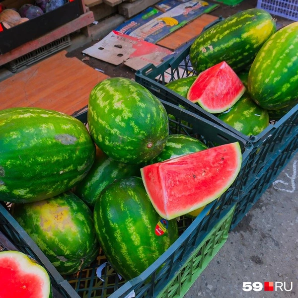 Необязательно брать весь арбуз, можно и кусочек | Источник: Тимофей Калмаков / 59.RU