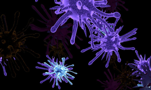 Фото №1 - Минздрав: Новый коронавирус из Китая несет биологическую угрозу России