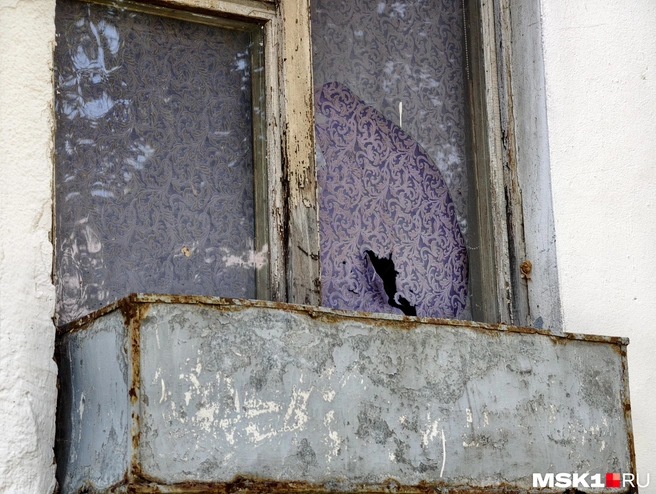 Заброшенные дома в Царицыно  | Источник: Дмитрий Бондарев / MSK1.RU