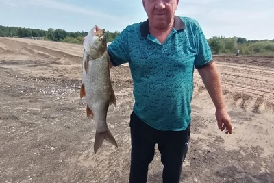 Самарские рыбаки недовольны уловом, но хвастаются фото