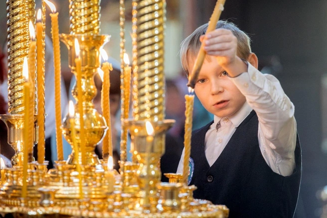 Источник: Слепов Максим / T.me