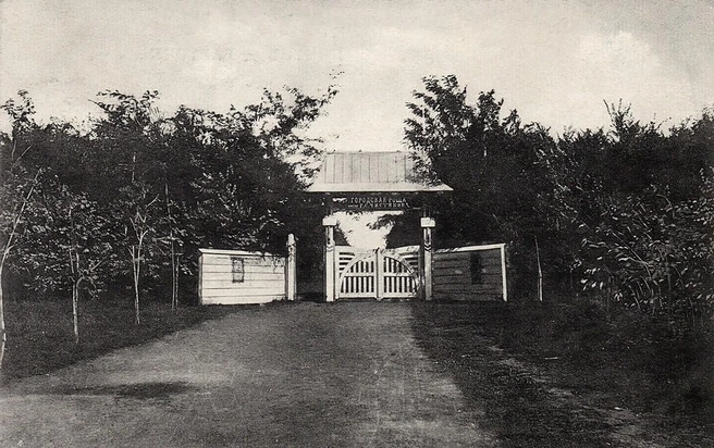 Южный вход в Чистяковскую рощу, 1913 год  | Источник: Pastvu.com
