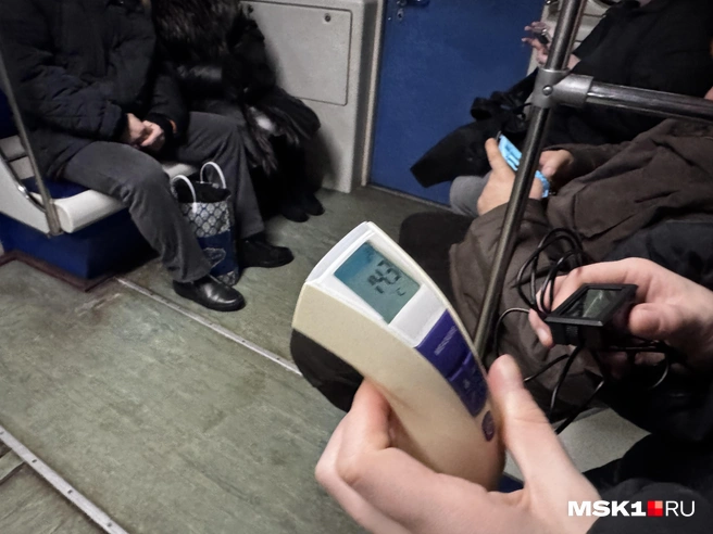 По нашим подсчетам, средняя температура на салатовой ветке — 16,1 °С | Источник: Алина Мельникова / MSK1.RU
